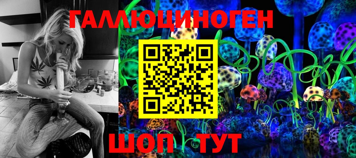 Галлюциногенные грибы Psilocybe Донецк